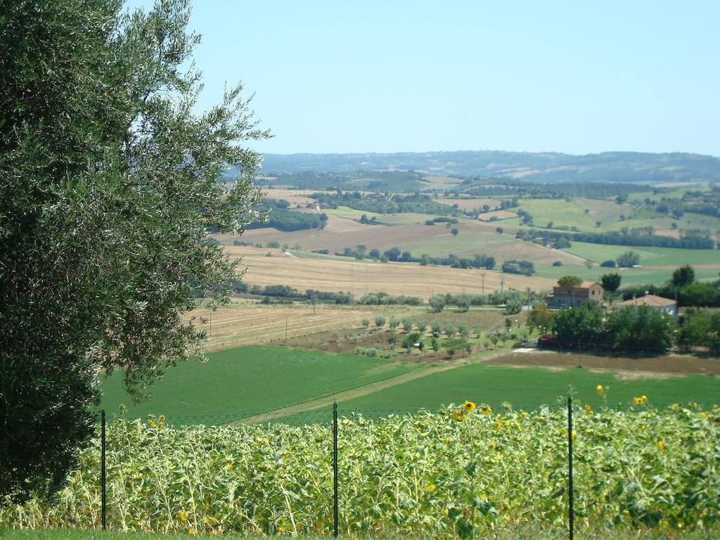 Podere Fontegallo Castiglione del Lago Extérieur photo