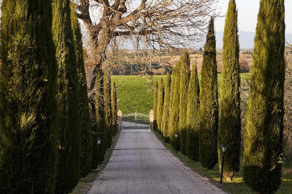 Podere Fontegallo Castiglione del Lago Extérieur photo