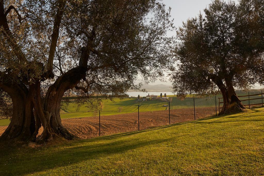 Podere Fontegallo Castiglione del Lago Extérieur photo
