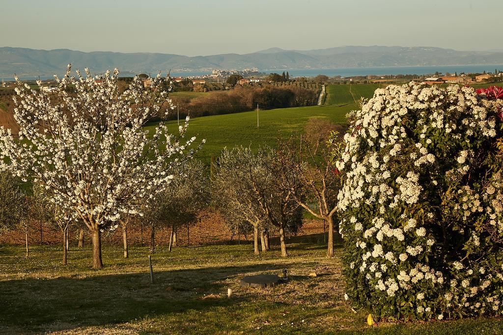 Podere Fontegallo Castiglione del Lago Extérieur photo