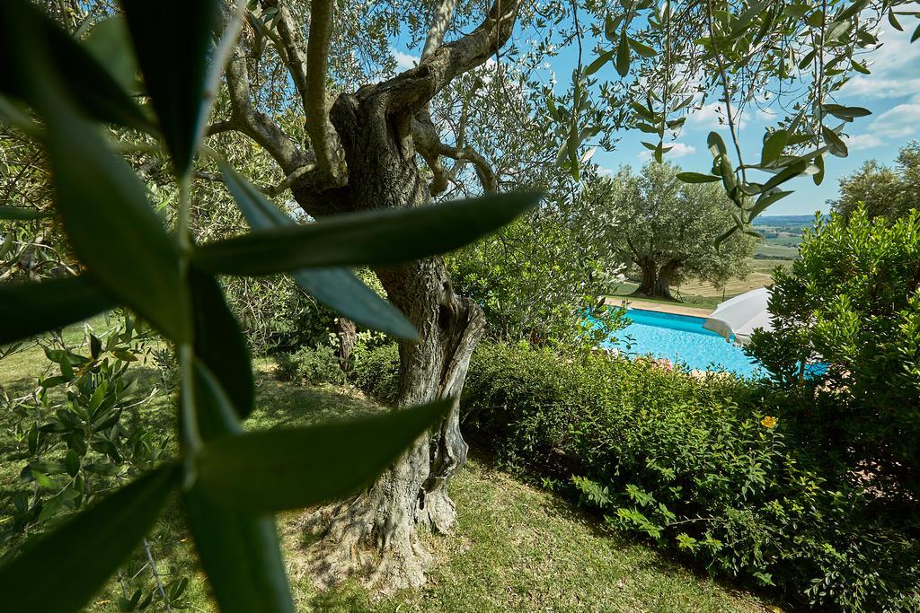 Podere Fontegallo Castiglione del Lago Extérieur photo